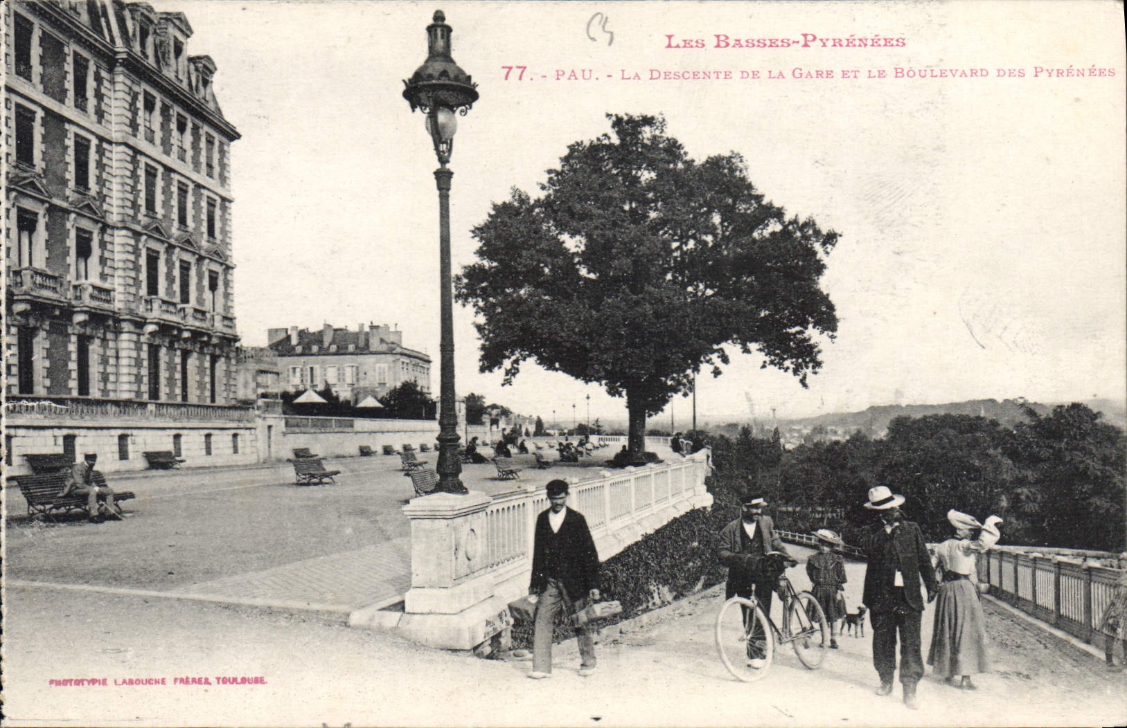 Pau - La Descente de la Gare et le Boulevard des Pyrénées — Phototypie Labouche Frères, Toulouse, n°77