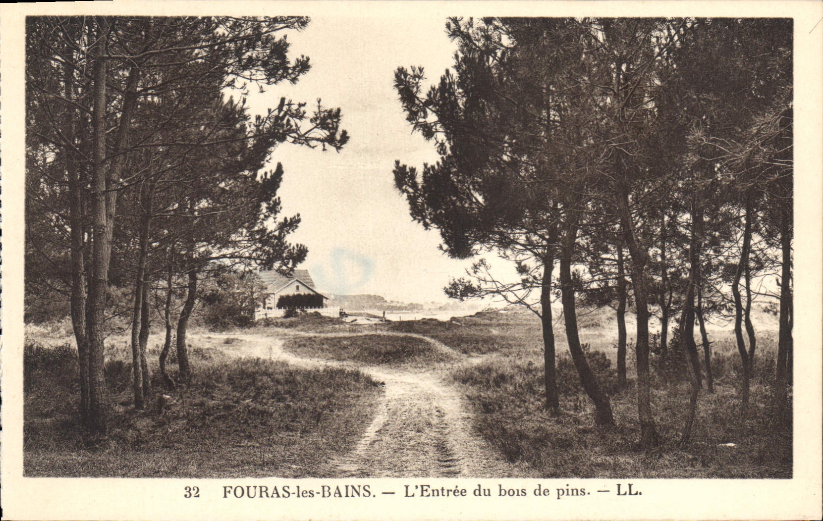 CPA Fouras les Bains L'Entree du bois de pins 