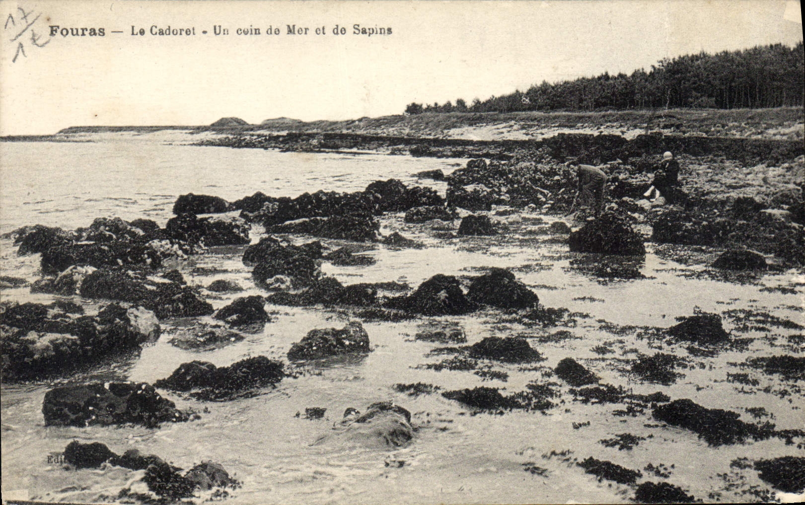CPA Fouras Le Cadorel Un coin de Mer et de Sapins 