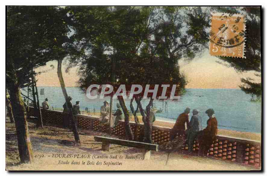 CPA Fouras Plage Etude dans le Bois des Sapinettes 