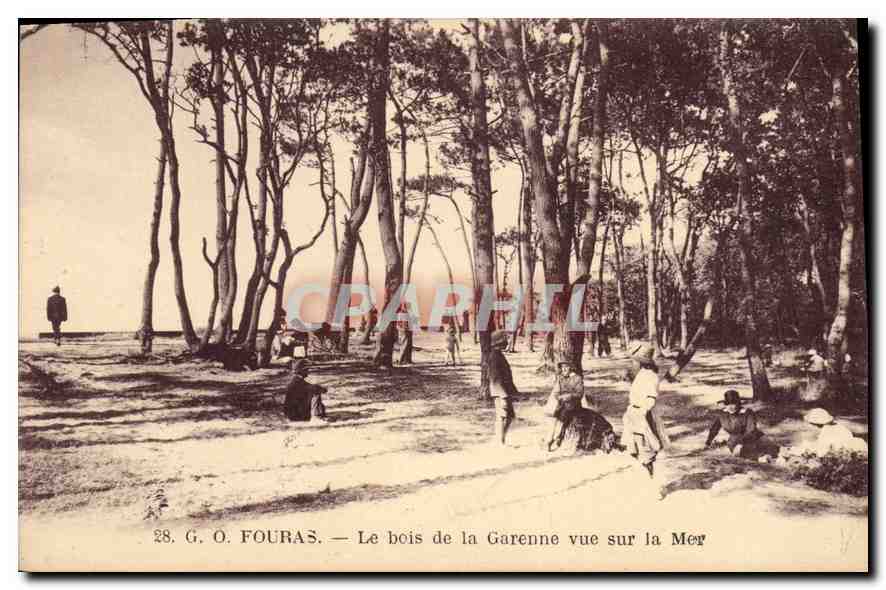 CPA Fouras Le bois de la Garenne vue sur la Mer 