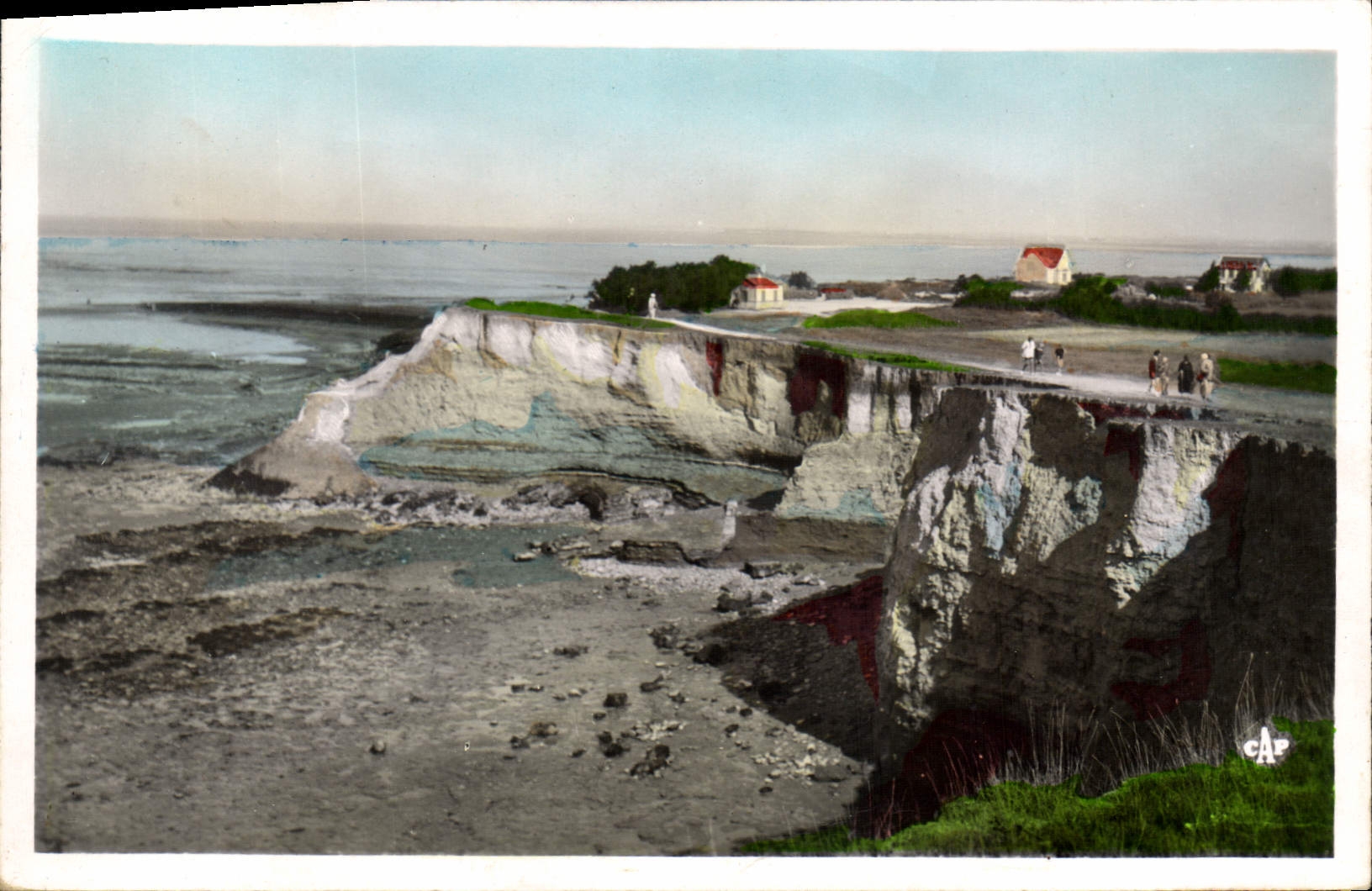 CPM Chatelaillon Les Falaises des Boucholeurs 