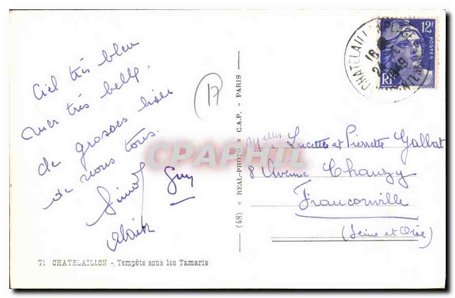 CPA Chatelaillon Tempete sous les Tamaris  — Back