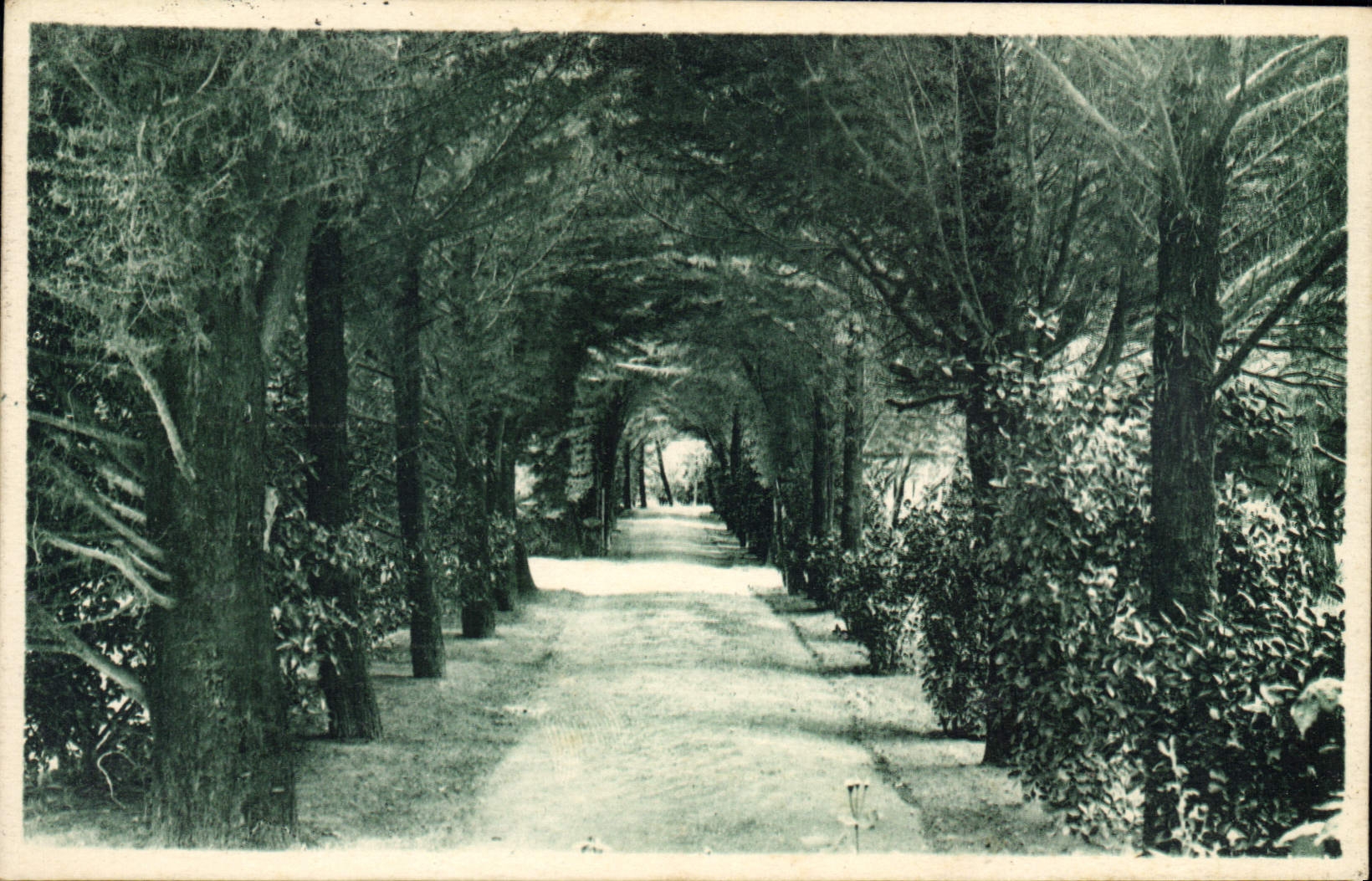 CPA Chatelaillon Casino du Parc et l'Allee des Soupirs 