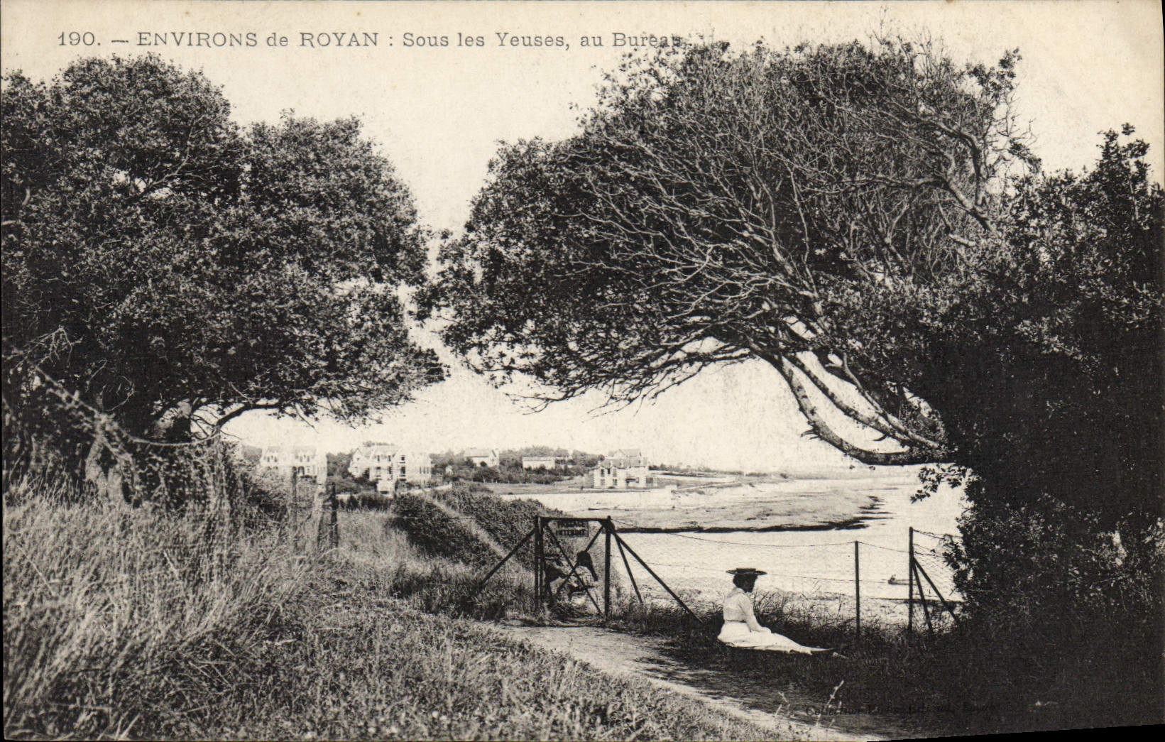CPA Environs de Royan Sous les Yeuses au Bureau 