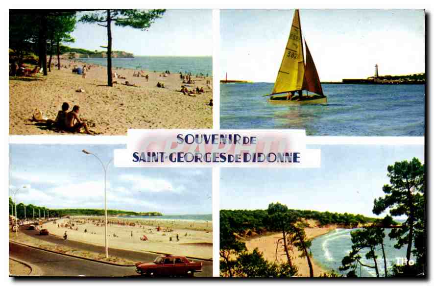 Saint-Georges-de-Didonne — Souvenir — Tito