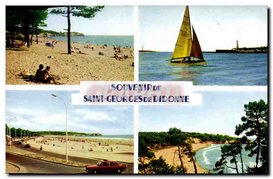 CPM Souvenir de Saint Georges de Didonne 
