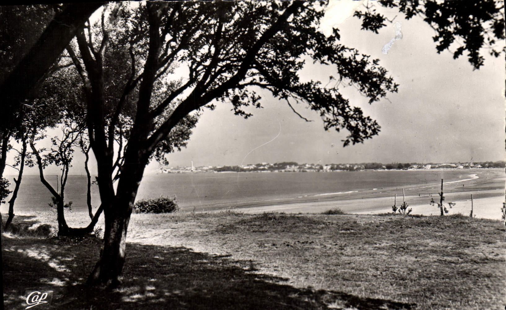 Saint-Georges-de-Didonne — vue de la plage — éditeur Cap