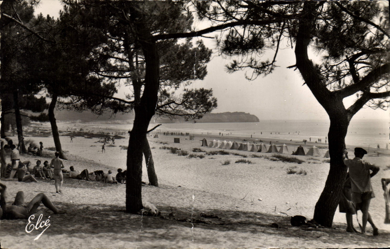 CPM St Georges de Didonne Charente Maritime La Plage depuis la Foret