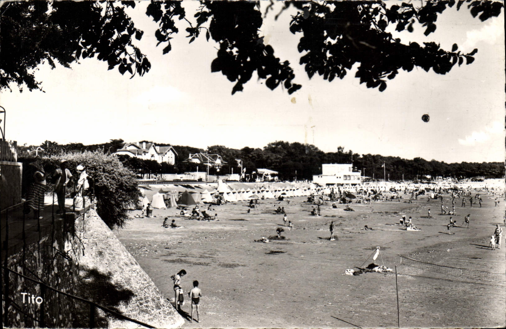 Plage de Saint-Georges-de-Didonne — vue du Chemin de la Corniche — Tito