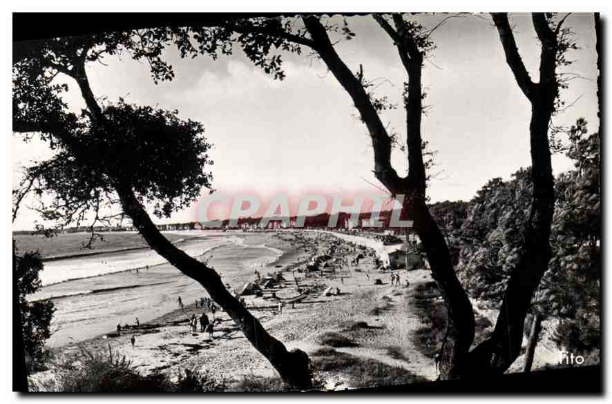 La plage de Vallières — vue depuis les arbres — éditeur Tito, n° 17