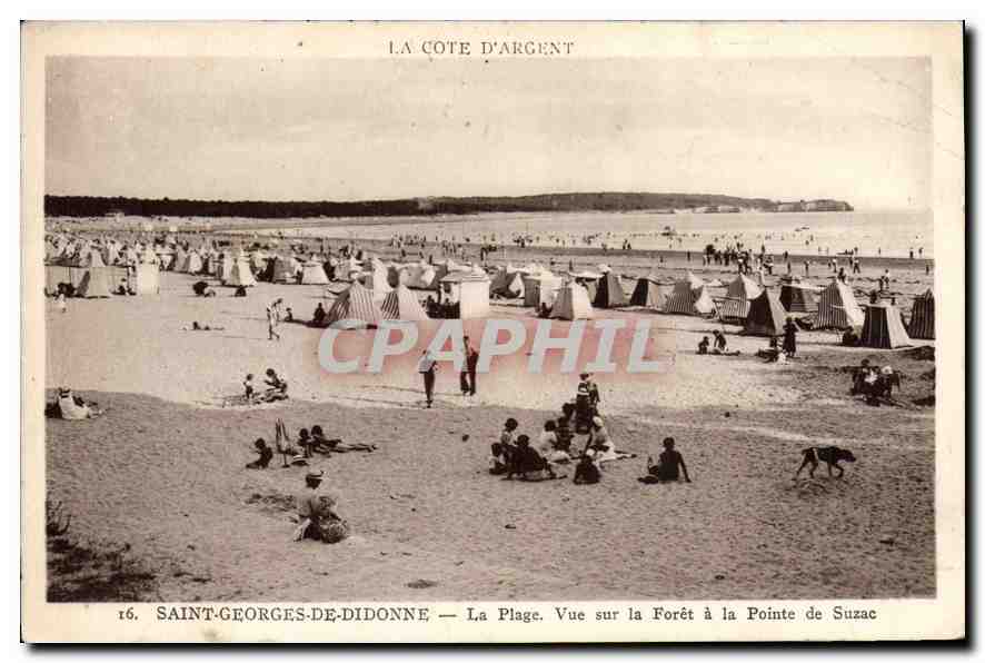 CPA Saint Georges de Didonne La Plage Vue sur la Foret a la Pointe de Suzac