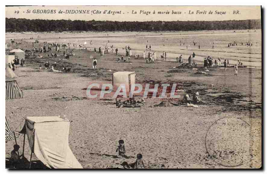CPA St Georges de Didonne Cote d'Argent La Plage a maree basse La Foret de Suzac 