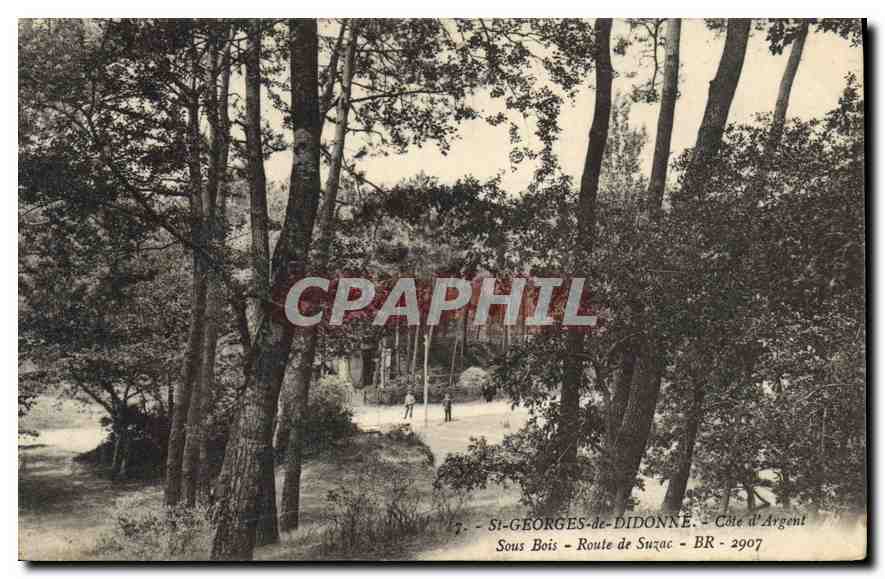 Saint-Georges-de-Diddonne — Sous Bois — Route de Suzac — Côte d'Argent — BR-2907