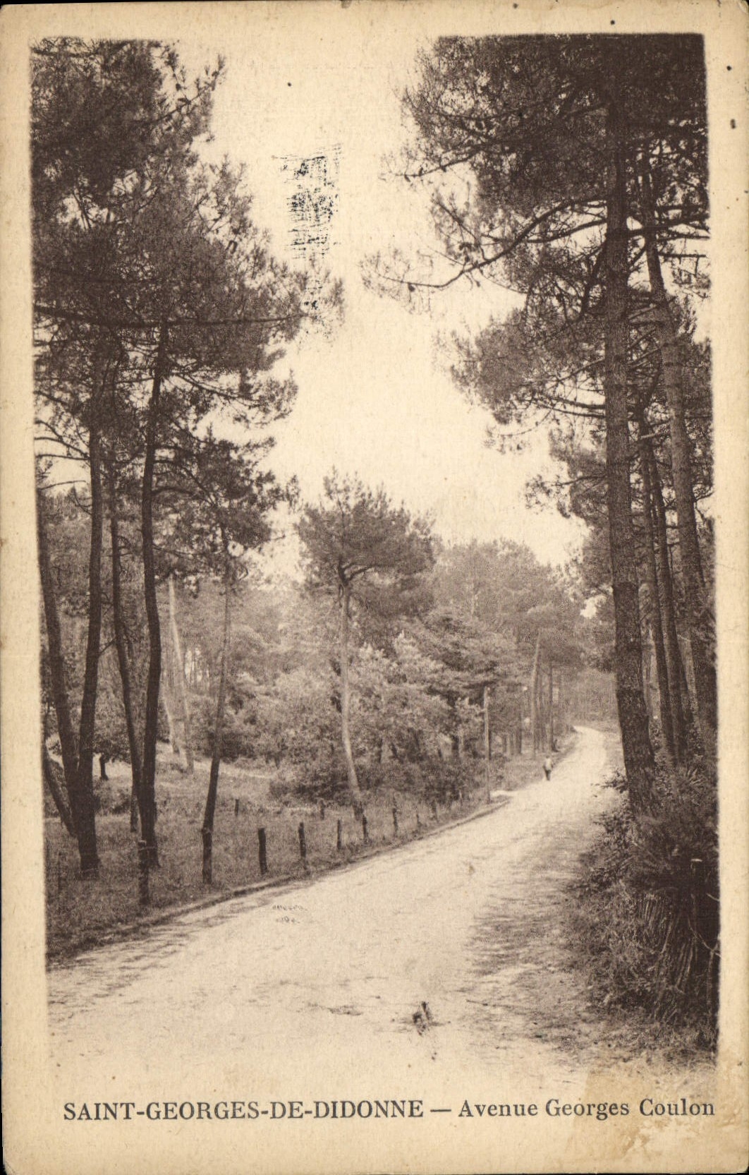 CPA Saint Georges de Didonne Avenue Georges Coulon 