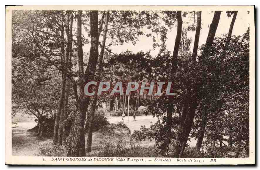 CPA Saint Georges de Didonne Cote d'Argent Sous bois Route de Suzac 
