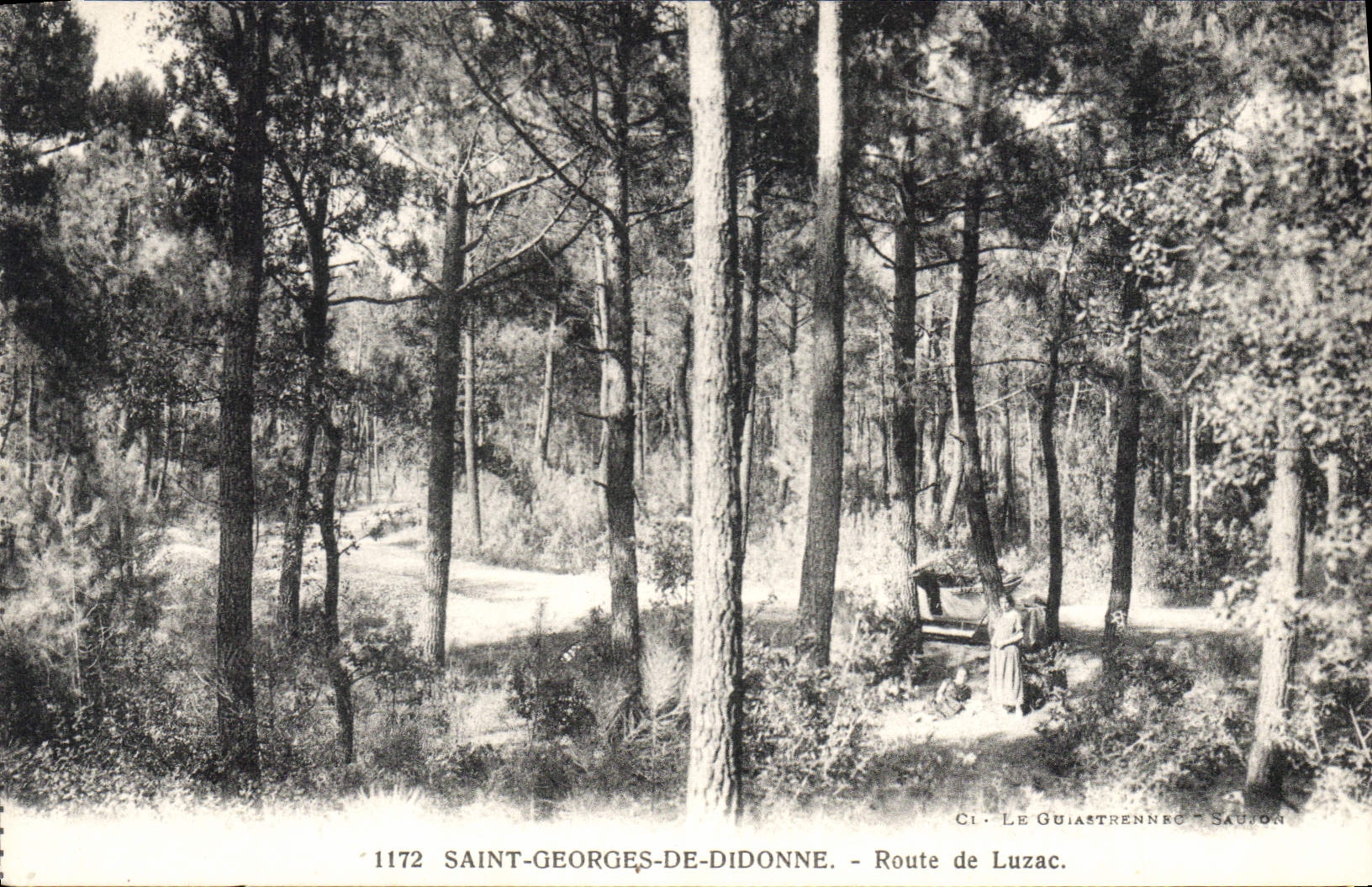 CPA Saint Georges de Didonne Route de Luzac 