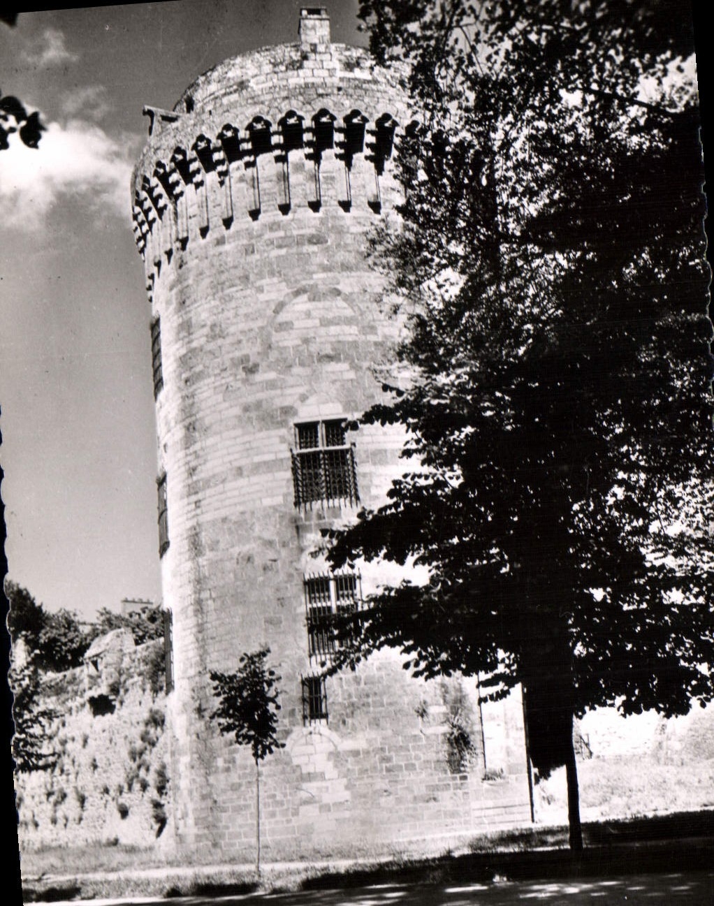 Dinan (C.-du-N.) - Le Donjon du Château de la Duchesse Anne (XIVe s.) — Édition La Cigogne, série 1
