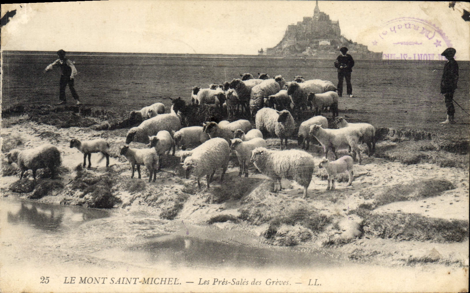 Le Mont Saint-Michel — Les Prés-Salés des Grèves — LL.