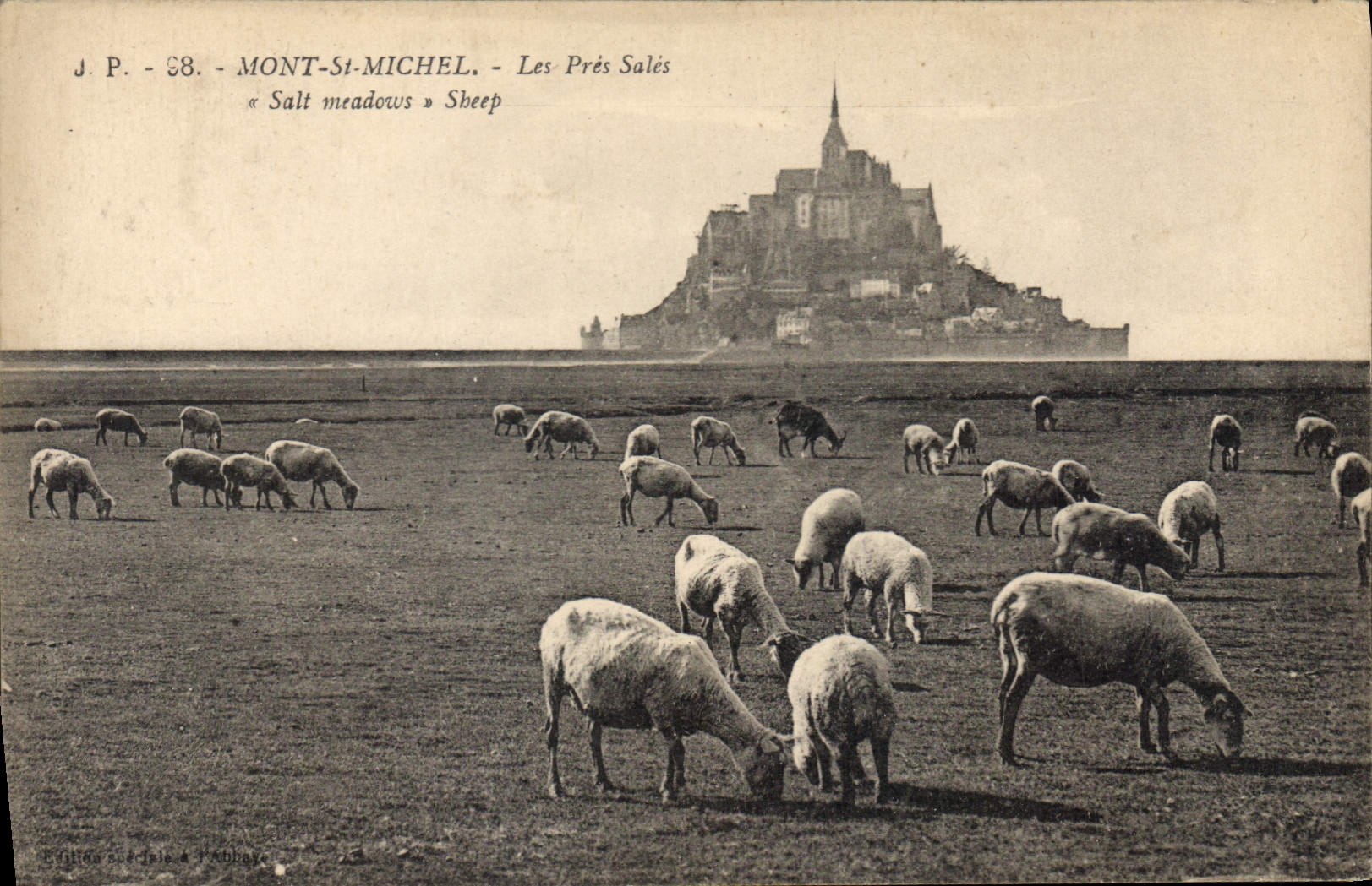 CPA Mont St Michel Les Pres Sales 