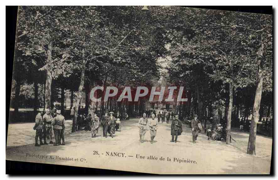 CPA Nancy Une allee de la Pepiniere 