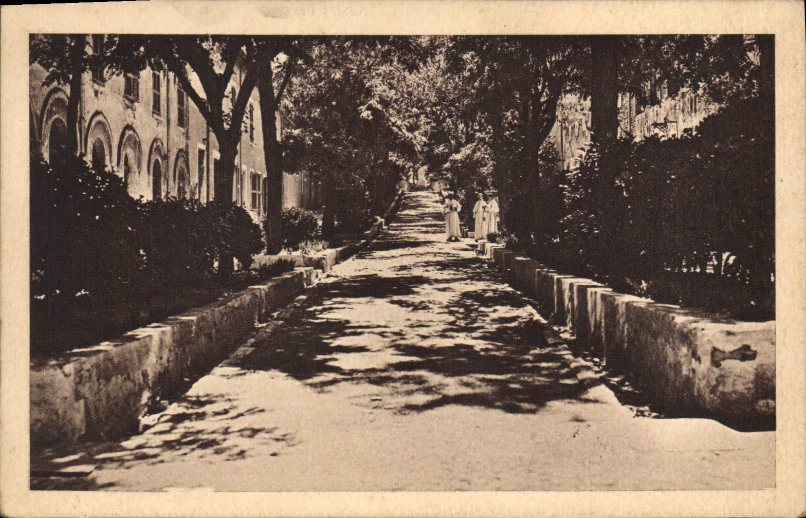 St-Michel-de-Frigolet — Allées de l'Abbaye — Éditeur : Michel-de-Frigolet