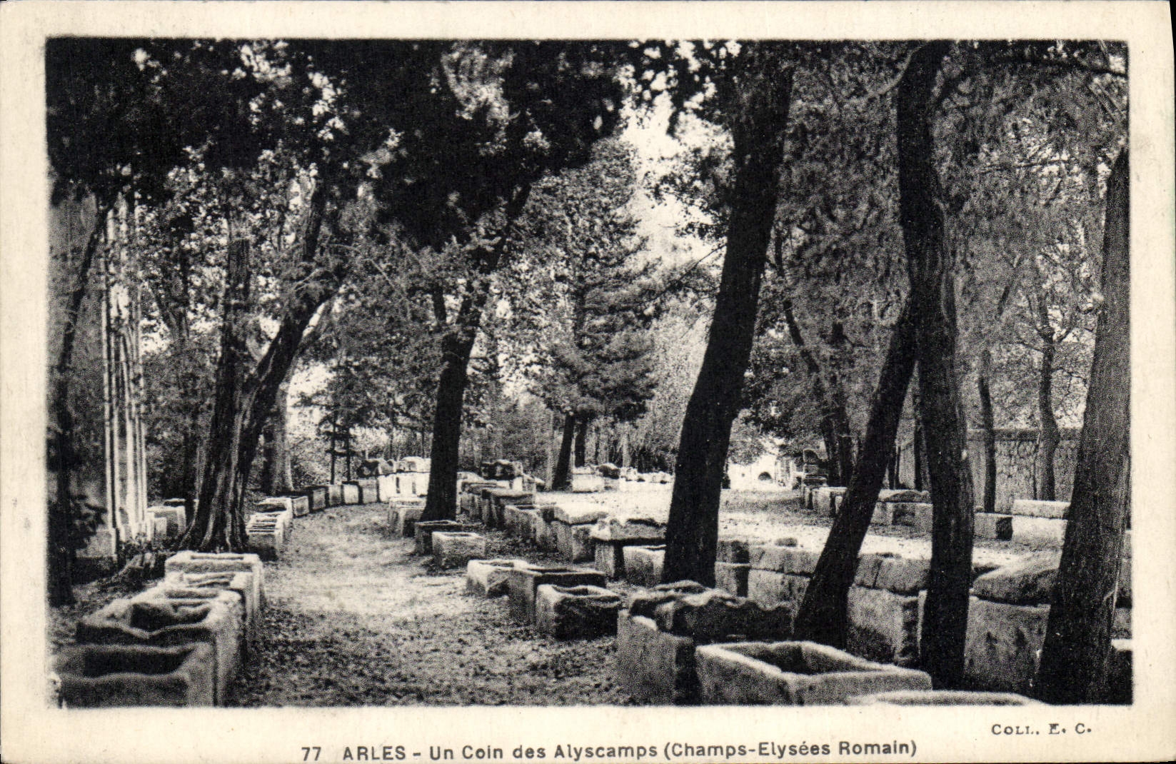 Arles - Un Coin des Alyscamps (Champs-Elysées Romain) — Coli. E. C. n°77
