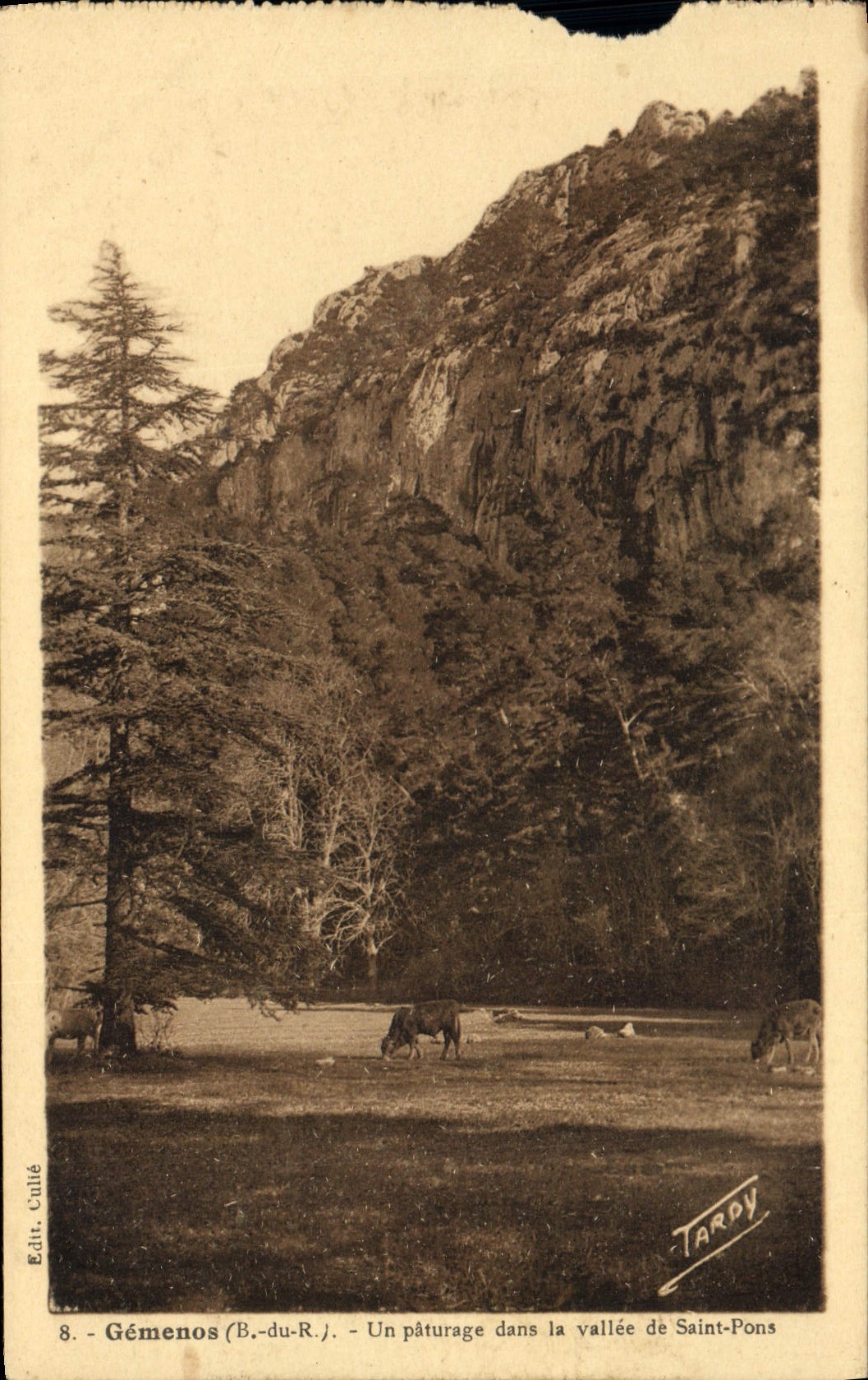 CPA Gemenos Un paturage dans la vallee de Saint Pons 