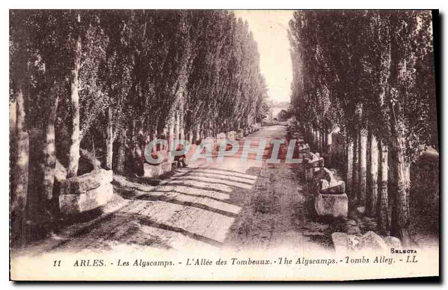 Arles - Les Alyscamps - L'Allée des Tombeaux - Selecta