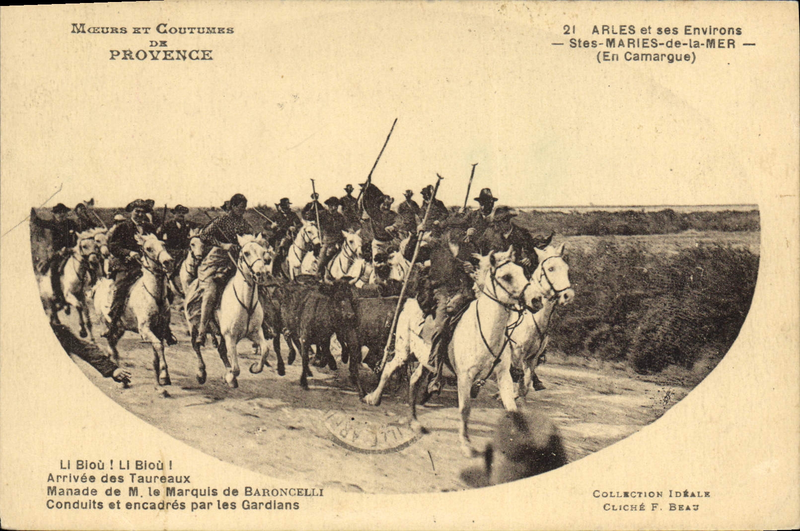 CPA Arles et ses Environs Stes Maries de la Mer Camargue Chevaux