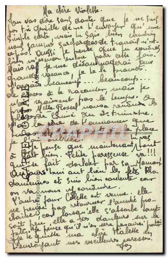 CPA Les Taureaux en Camargue  — Verso