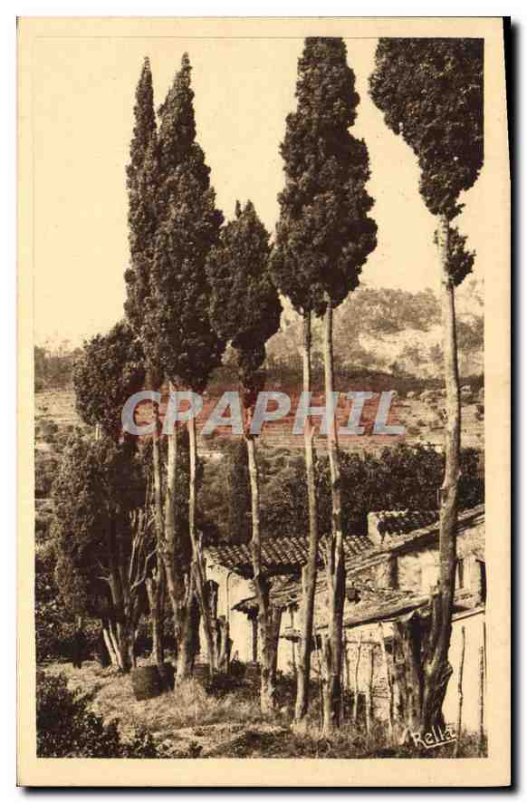 CPA Paysage Provencal 