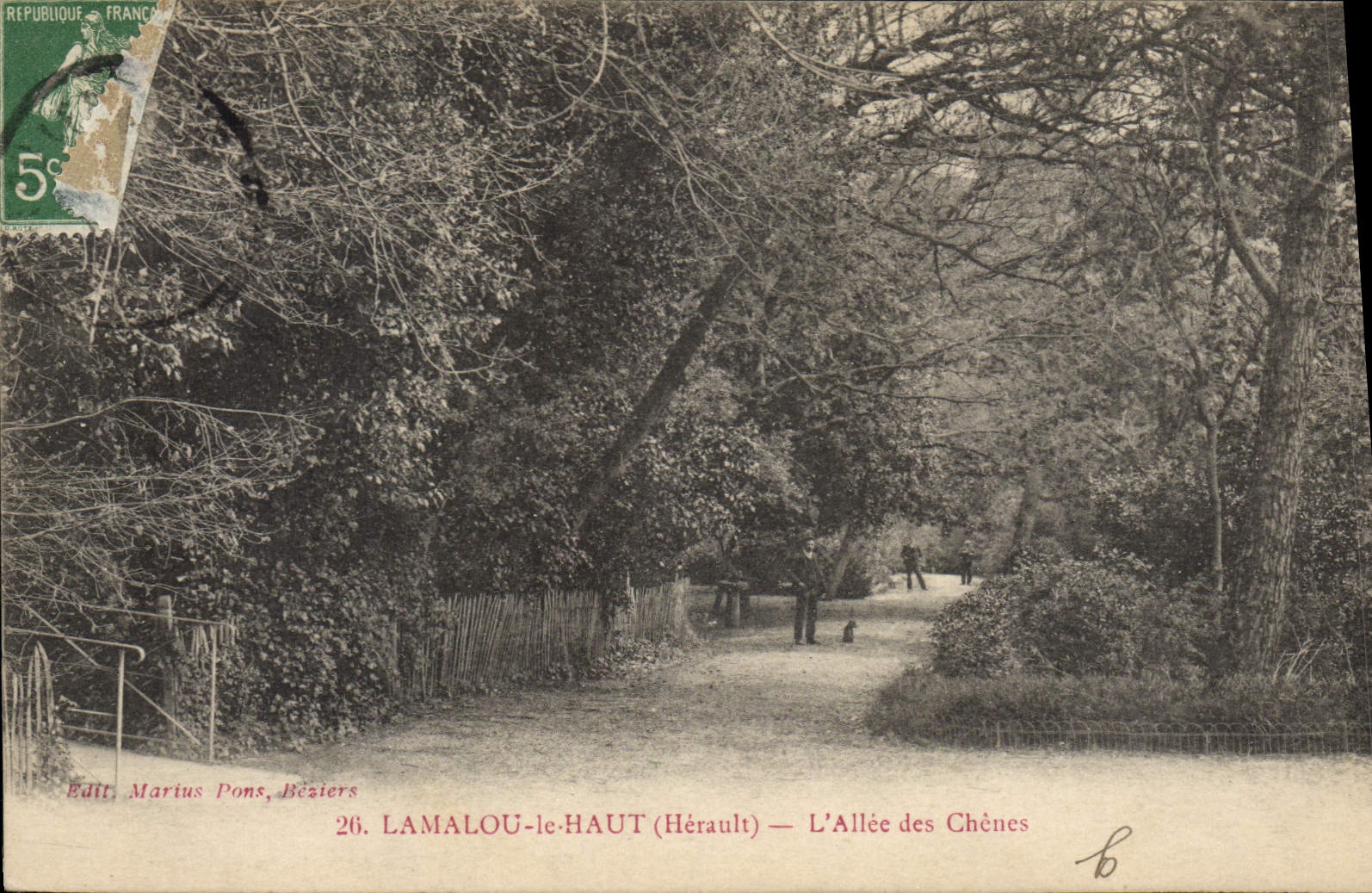 LAMALOU-le-HAUT (Hérault) — L'Allée des Chênes — Edit. Marius Pons, Béziers