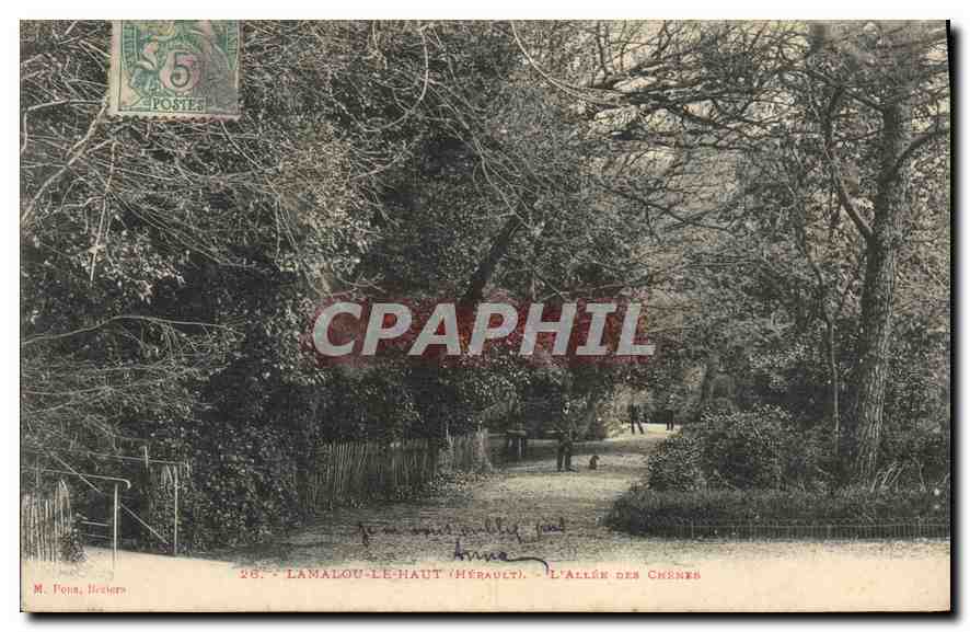 Lamalou-le-Haut (Hérault) — L'allée des Chênes — M. Ponna, Hérault, n°26