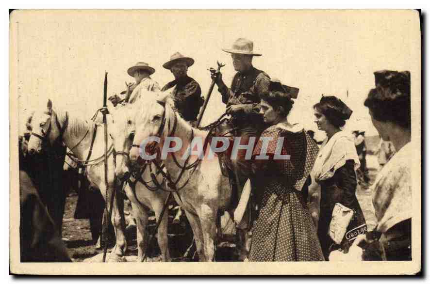 CPA En Provence Les gardians de Camargues montes sur leurs cavales blanches Cheval Folklore