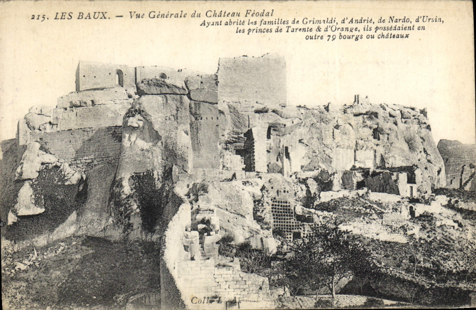 CPA Les Baux Vue generale du Chateau Feodal 