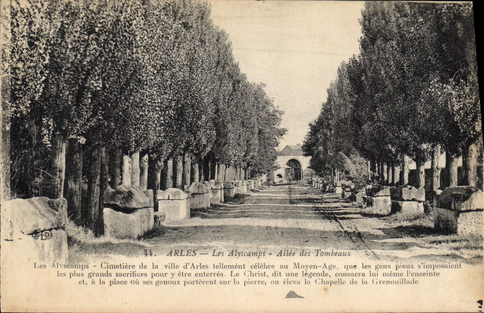 Les Alyscamps - Allée des Tombeaux — Arles — Éditeur E.L.D. N°11