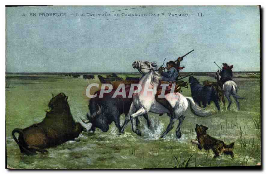 CPA En Provence les Taureaux de Camargue par P Vayson 