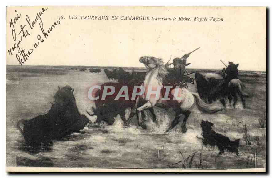 CPA Les Taureaux en Camargue traversant le Rhone d'apres Vayson 