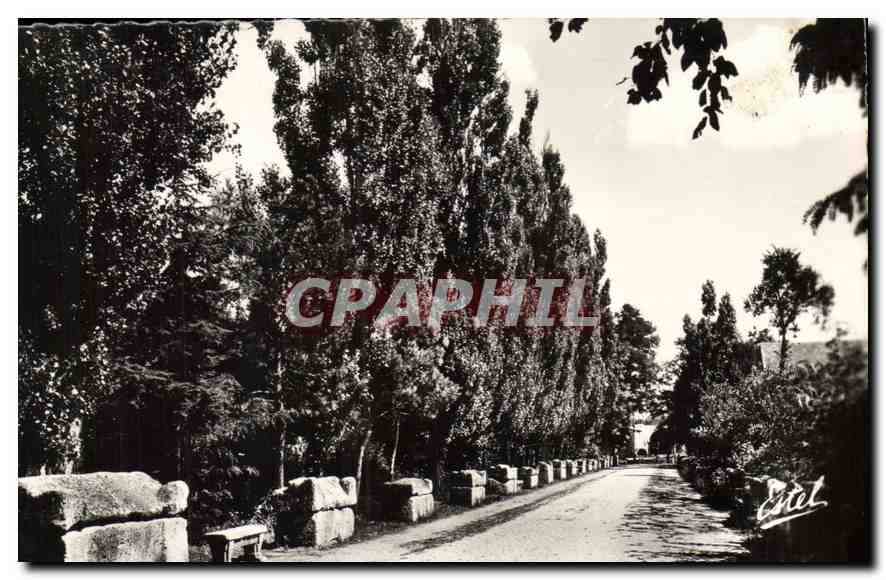 Les Alyscamps — Allée des Tombes — Éditeur Estel