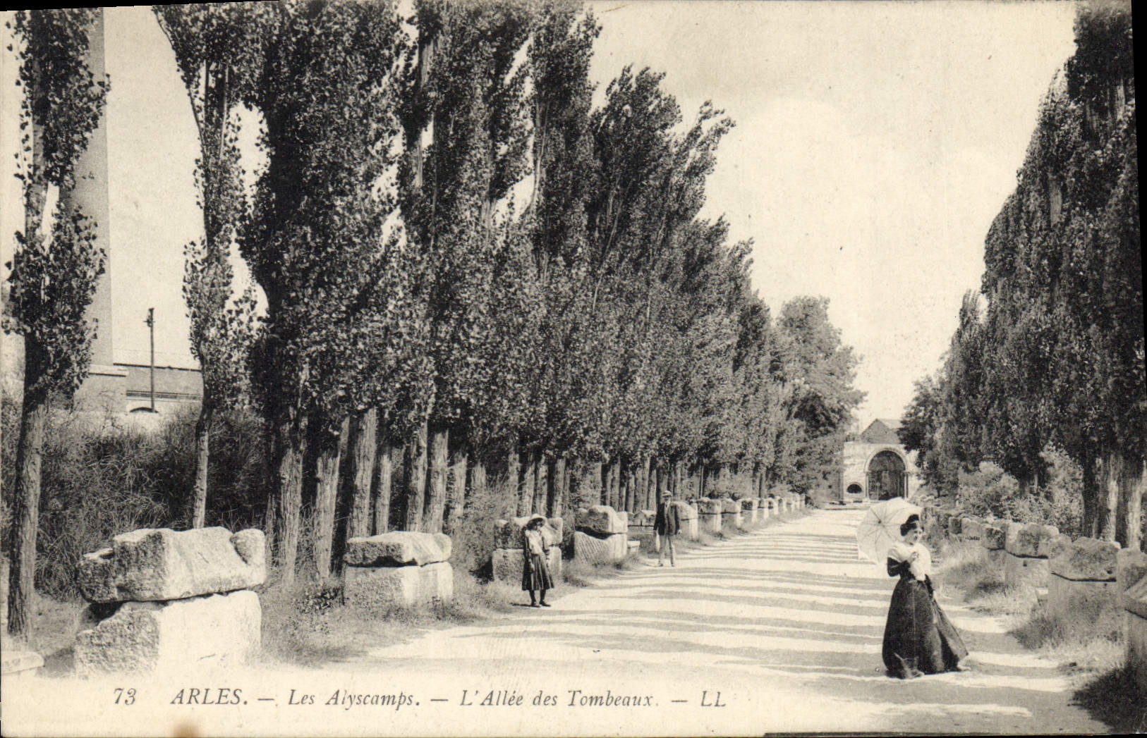 CPA Arles les Alyscamps l'Allee des Tombeaux 