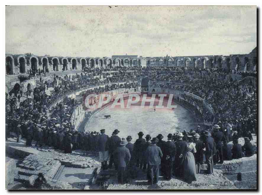 CPA Arles les Arenes Combat de Taureaux 