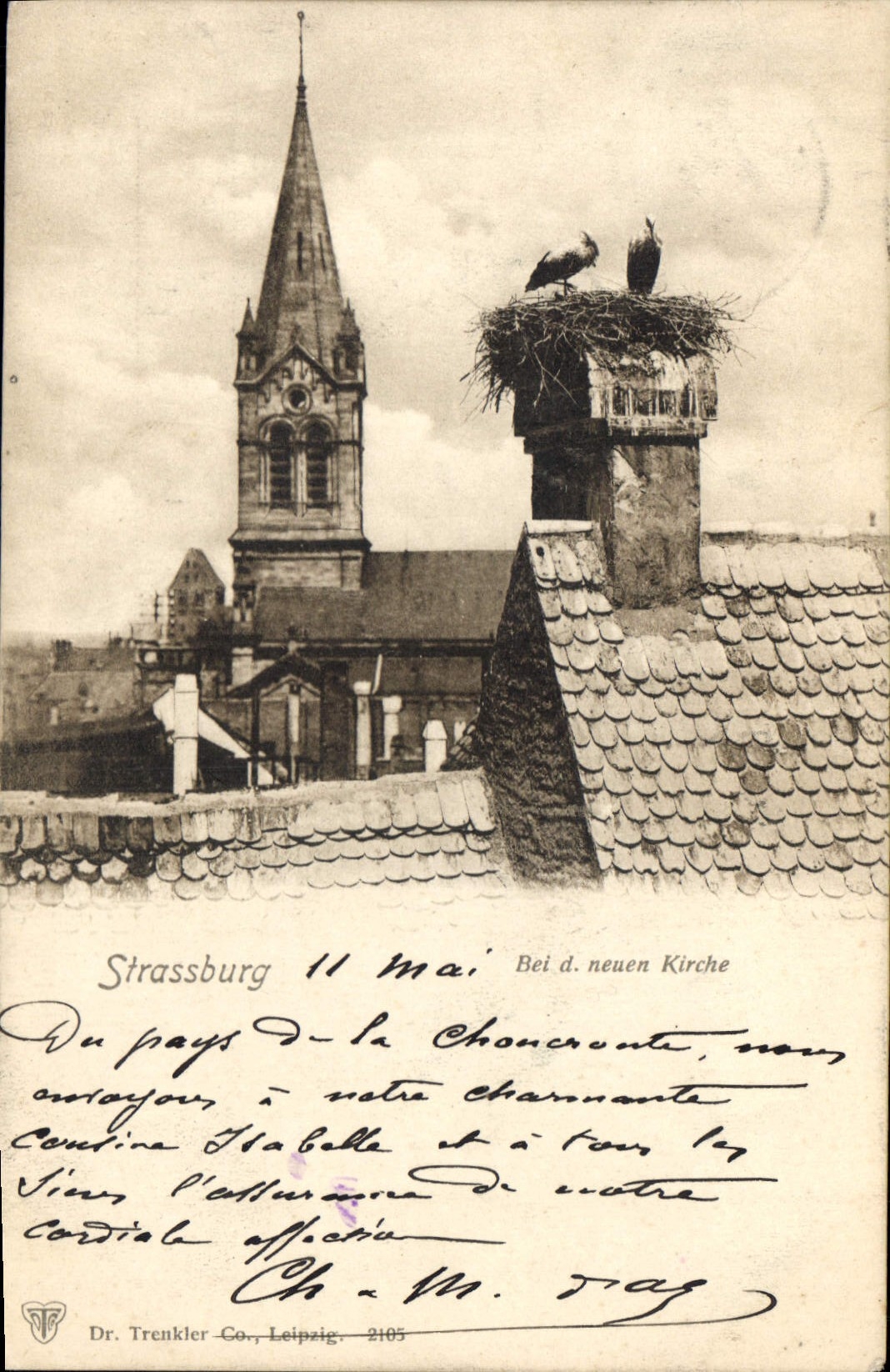 Strasbourg — vue de la nouvelle église avec nid d'oiseau — Dr. Trenkler, Leipzig, n° 2105