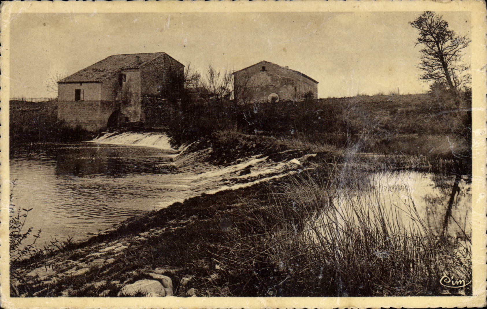 CPA Les environs de Lunel Bords du Vidourle