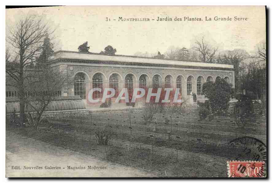 CPA Montpellier Jardin des plantes La grande serre
