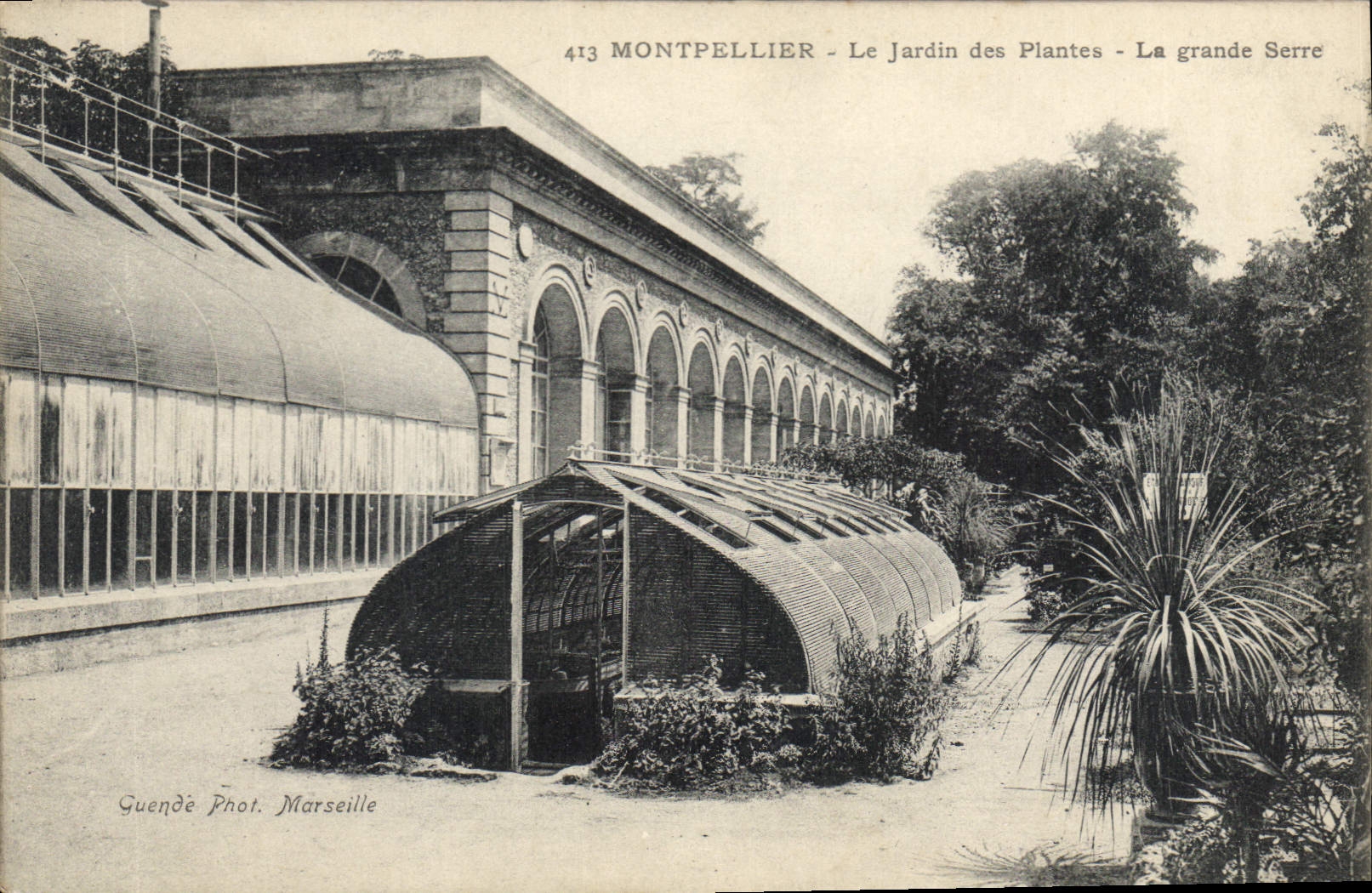 CPA MONTPELLIER Le Jardin des plants La grande serre