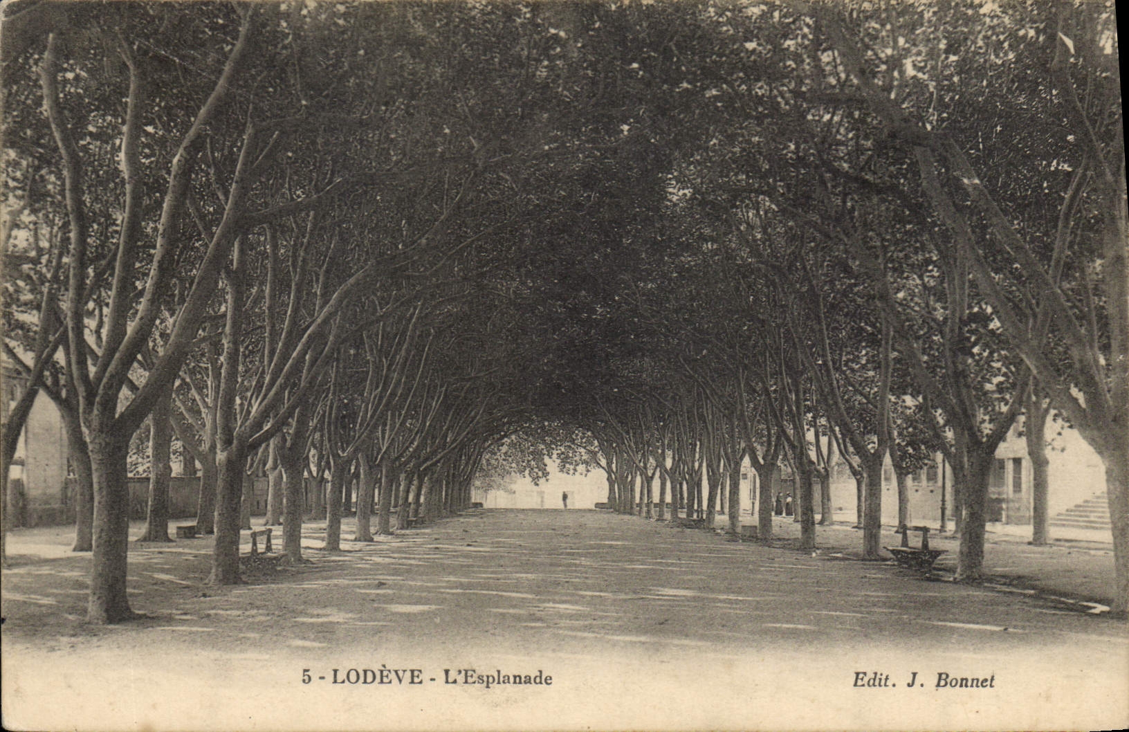 CPA LODEVE L'Esplanade