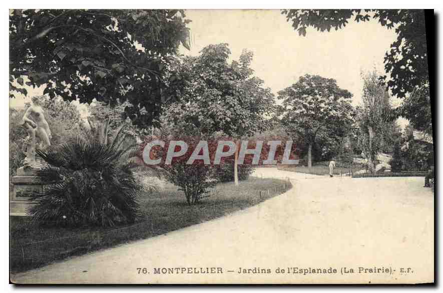 CPA MONTPELLIER Jardins de l'Esplanade La Prairie E.F