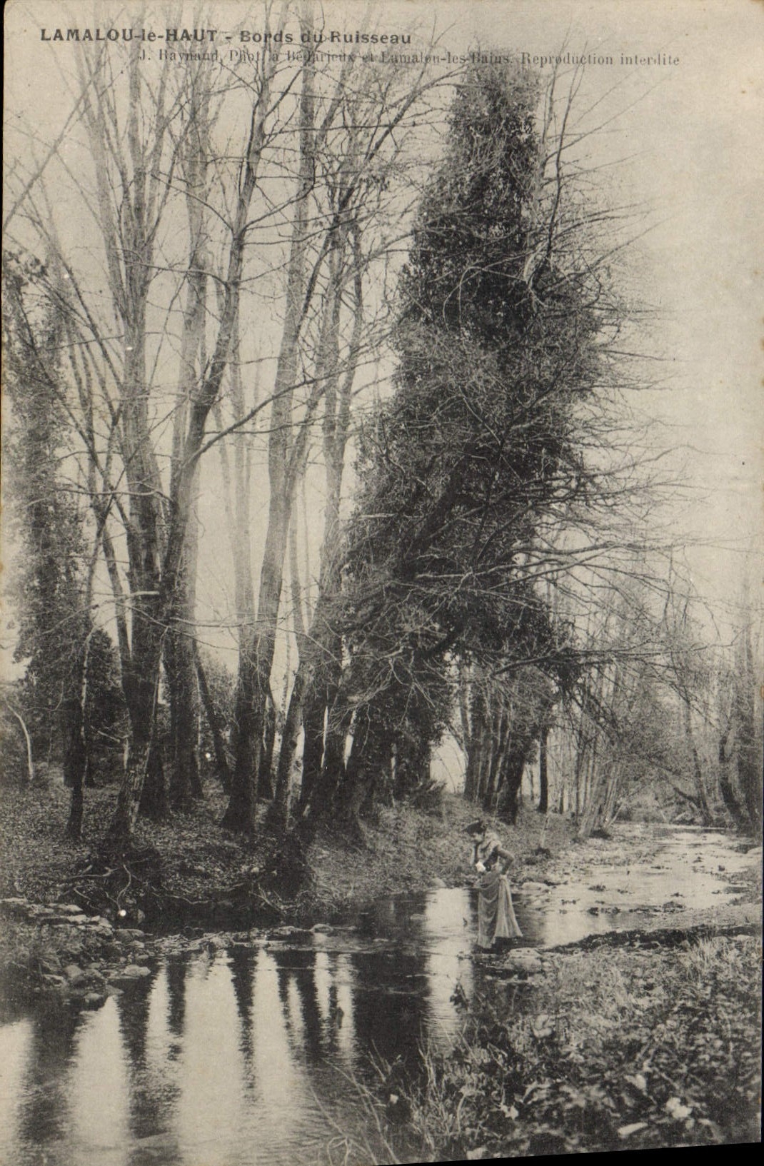 CPA LAMALOU le HAUT Bords du Ruisseau