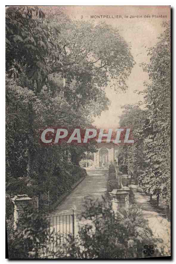 CPA MONTPELLIER le Jardin des Plantes